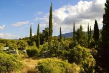 OLD TOWN FIELD, ISLAND OF HVAR