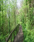 PROTECTED LANDSCAPE LABIN-PRTLOG