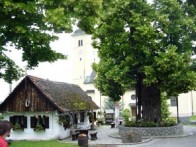LINDEN FROM MATIJA GUBEC