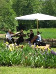 CEREMONY OF IRIS FLOWER, DONJA STUBICA, 20.05.2017.