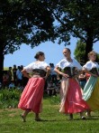 CEREMONY OF IRIS FLOWER, DONJA STUBICA, 20.05.2017.
