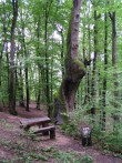 HISTORY-TRAINING RUTE KAMENJAK IN STUBIČKE SPA