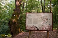 HISTORY-TRAINING RUTE KAMENJAK IN STUBIČKE SPA