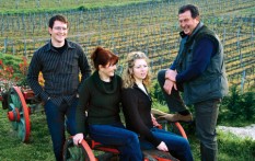 WINERY ARMAN FRANC, VIŽINADA	