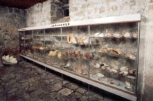 LITTLELOGICAL MUSEUM SPLIT