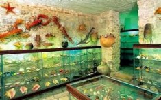LITTLELOGICAL MUSEUM SPLIT