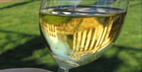 BOLFAN SAUVIGNON, BOLFAN TOP WINE
