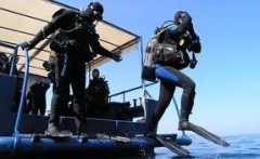 DIVING IN CENTRAL DALMATIA