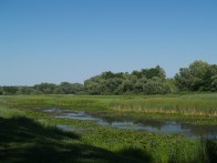 LANDSCAPE ČAMBINA 