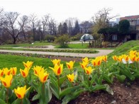 BOTANICAL GARDEN, ZAGREB