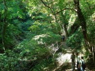 FOREST PARK DOTRŠČINA