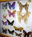 CROATIAN NATURAL HISTORY MUSEUM