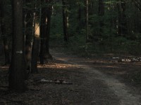 BIKE TRAILS