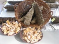 CURED PRODUCT- ŠOKOL, NIN