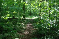 FOREST PARK ŽUPETNICA