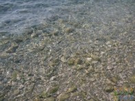 ŽULJANA, PELJEŠAC PENINSULA