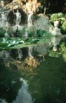 ARBORETUM TRSTENO