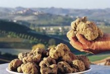 ISTARIAN  TARTUFFLE - ZIGANTE TARTUFI D.O.O.