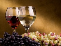 WINE WINERIES OPAČAK, TUČEPI