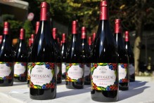 WINE PORTUGIZEC FROM PLEŠIVICA