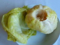 SOUR CABBAGE "LAKTEC"