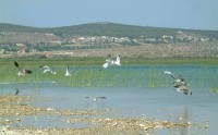 VRANA LAKE NATURE PARK