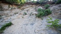OLD GUARD - GEOLOGICAL MONUMENT OF NATURE 