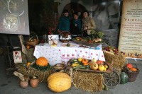 PUMPKINFAIR IN IVANIĆ, IVANIĆ-GRAD, OCTOBER 2017.
