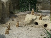 ZAGREB ZOO 