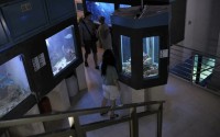 THE CRIKVENICA AQUARIUM 