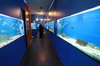 BASKA AQUARIUM, KRK