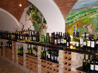 EXHIBITION WINE MOSLAVINA, KUTINA, 29.-30.05.2017.