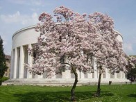 MESTROVIC PAVILION - HAUSE OF CROATIAN ARTISTS