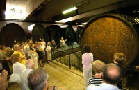 ERDUT WINES - RIESLING, RHINE RIESLING, CHARDONNAY, ZWEIGELT