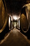 ERDUT WINES - RIESLING, RHINE RIESLING, CHARDONNAY, ZWEIGELT