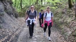 WALK ON SLJEME, HIKING, NORDIC WALKING