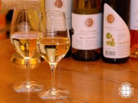 KRAUTHAKER WINES, KUTJEVO