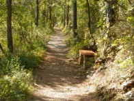 LOVE PATH IN CRIKVENICA