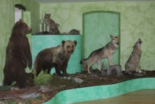 ZRINSKI FORTRESS - PERMANENT EXHIBITION FORESTRY, HUNTING AND FISHING