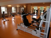 RINK, GYM AND POOL IN DELNICE
