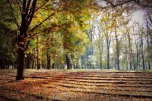 STROSSMAYER PARK IN ĐAKOVO