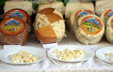 ROAD CHEESE IN KARLOVAC COUNTY