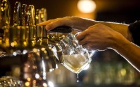 BEER DAYS, ORAHOVICA, JULY 2017.