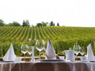 ZDJELAREVIĆ WINE, BRODSKI STUPNIK