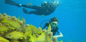 UNDERSEA OF LASTOVO ARCHIPELAGO