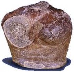 ARCHAEOLOGICAL MUSEUM GUDNJA, STON