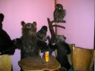 RESTAURANT MACOLA, KORENICA