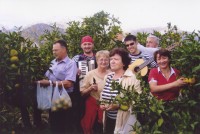 HOTEL - RESTAURANT VILLA NERETVA, METKOVIĆ