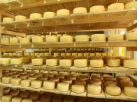 VELEBIT AND KRASNO CHEESE - RUNOLIST, OTOČAC