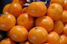NERETVA MANDARINE WITH "GLOBAL GAP FRUIT" CERTIFICATE